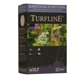 Blomster