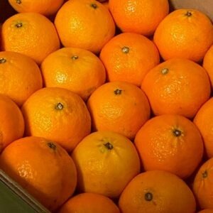 Frugt og grønt tilbyder